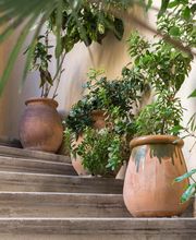 Gravier Elvire image 5