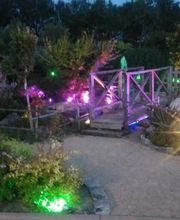 Restaurant Du Pont image 9