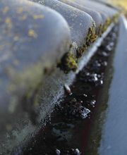 DaLa Service & Verleih Bild 16