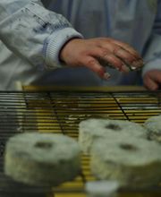 Fromagerie Le Pic image 2