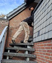 Die Umzugslöwen De Moll Bild 11