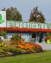 Rambert Fleurs image 1