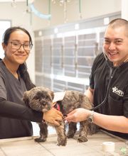 Oath Animal Hospital image 15