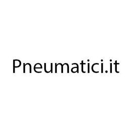 Pneumatici.it logo
