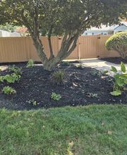 La Playa Services image 1