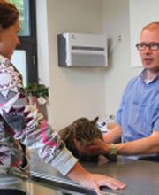 Dierenkliniek Spijkenisse
