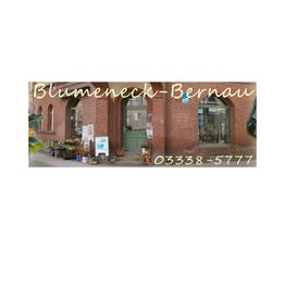 Blumeneck Brondke