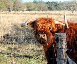 Grenzeloos Drenthe afbeelding 12