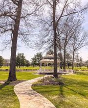 Swan Lake Resort image 4