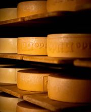 Käserei Thönen Bild 7