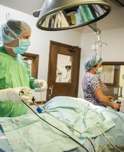 Pine Bluff Animal Hospital image 10