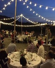 Provence Réception image 13