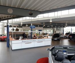 STERNAUTO Bild 6