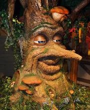 Möbel Höffner Mannheim-Schwetzingen Bild 9