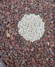 Les Vans Combustibles L.V.C image 10