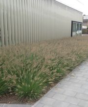 Herman Vaessen afbeelding 13