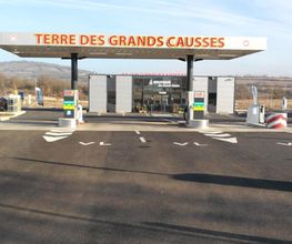Albenque Olivier image 8