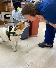 Fairview Animal Hospital image 3