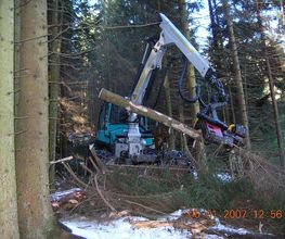 Eggenberger Forst AG Bild 3