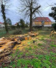 AEC Espaces Verts image 10