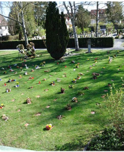 Friedhöfe, kirchliche Verwaltung Bild 7