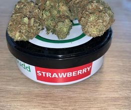 GREEN BUDD CBD PORNIC image 9