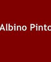 Pinto Albino image 1