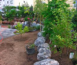 Garten und mehr - Jan Langhanki Bild 4