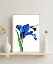 Bioartsense Aquarelle Bild 2
