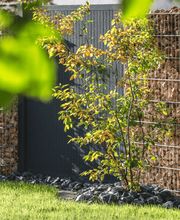 Denzler Felix Garten GmbH Bild 3