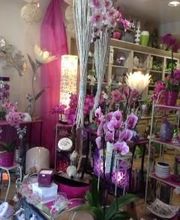 Petite Fleur image 7