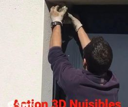Action 3D Nuisibles image 12