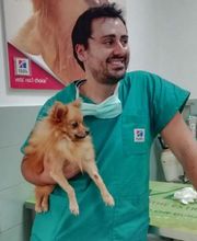 Centro Veterinario Maccauro immagine 1