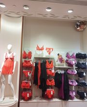 Darjeeling Annemasse Etrembieres image 2