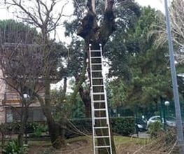 Jardines_La_Sierra_Moralzarzal_Jardineros_Podas_Cesped_Tejados_Canalones_16.jpeg