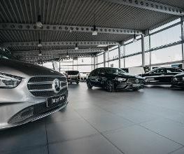 STERNAUTO Bild 4