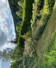 Haus- und Gartenservice - Mittelfranken Pavel Vostarek Bild 4