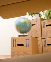 Trans Photo Express image 2