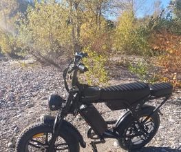 LM FatBikes image 7