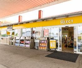 Shell Bild 12