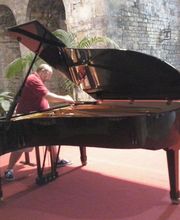 Afinador de Pianos E. Ferrer imagen 6