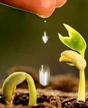 Alzonne Aménagement et Nature image 1