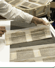 C.T.S. Suisse SA Bild 4