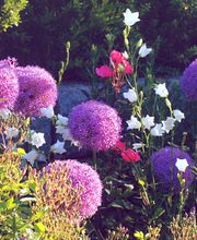 Villiger Arnosti Gartenbau AG Bild 1