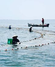 FLASH VOYAGES image 2