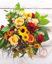 Thomas Julie image 3