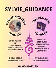 Un Pas Après l' Autre image 10