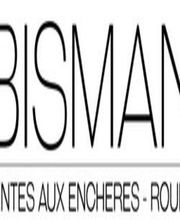Bisman Delphine image 4