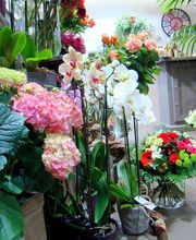 Savina Fleurs image 14