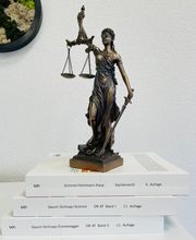 Natalia Dudareva, MLaw Bild 2